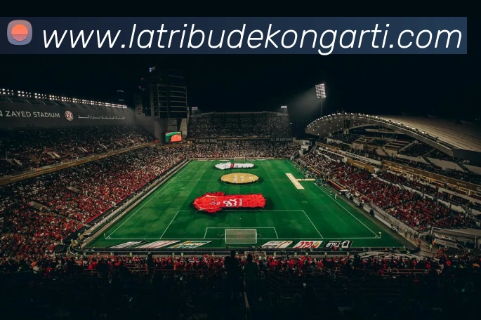 奖项证书